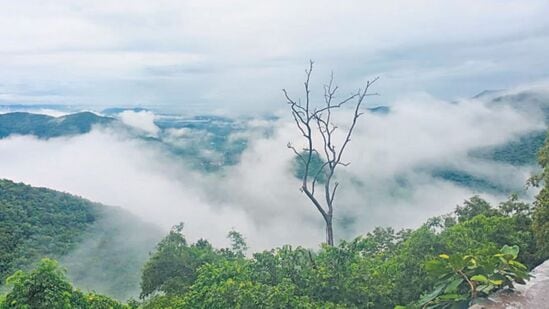 Tourism: దక్షిణ భారతంలో మంచు కురిసే ఏకైక ప్రాంతం ఏదో తెలుసా? ఏపీలోనే.. అక్కడికి ఎలా వెళ్లాలంటే..