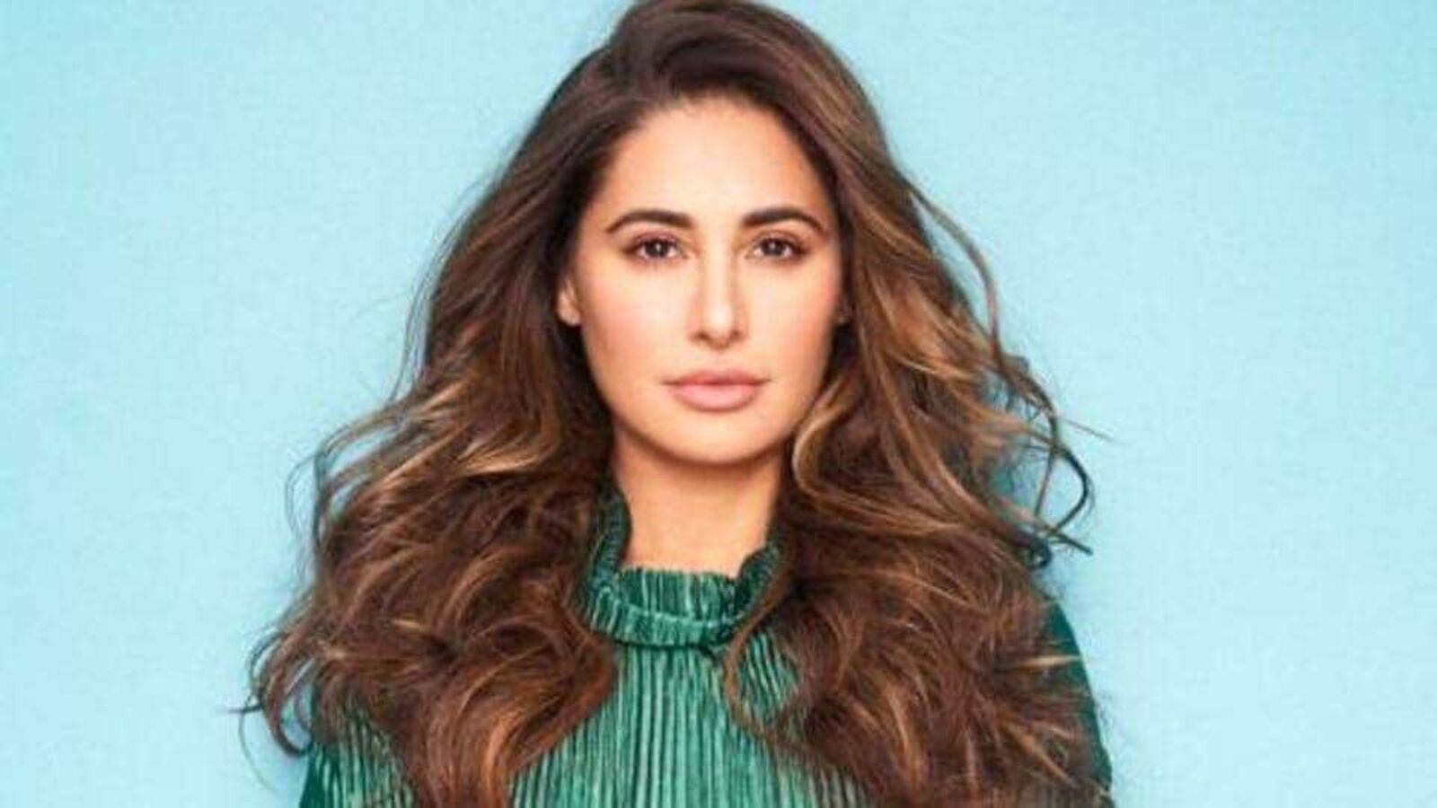 Nargis Fakhri Sister: బాయ్‌ఫ్రెండ్‌ను సజీవంగా తగలబెట్టిన టాప్ హీరోయిన్ చెల్లి.. జీవిత ఖైదు తప్పదా?