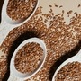 Flaxseeds for Weight loss: బరువు తగ్గేందుకు అవిసె గింజలను ఎలా తీసుకోవచ్చు? Flaxseeds for Weight loss: బరువు తగ్గేందుకు అవిసె గింజలను ఎలా తీసుకోవచ్చు?