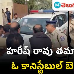 harish rao