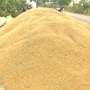 ఏపీ రైతులకు గుడ్‌న్యూస్