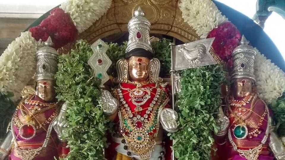 Subrahmanya Shashti సర్వ దోషాల నుండి విముక్తి కావాలా..? సుబ్రహ్మణ్య