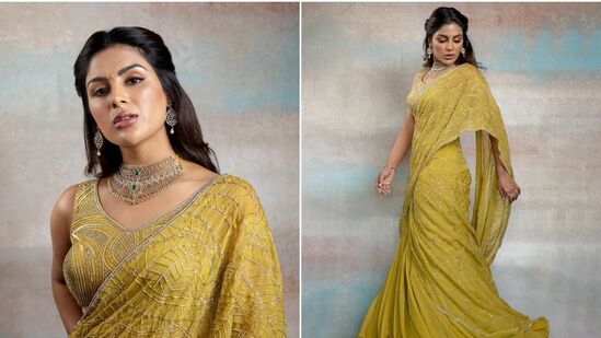 పవన్ కళ్యాణ్‌తో బీమ్లా నాయక్ సినిమాలో నటించినా.. అందులో సంయుక్త మీనన్ పాత్ర చాలా పరిమితంగా కనిపించింది.&nbsp;
