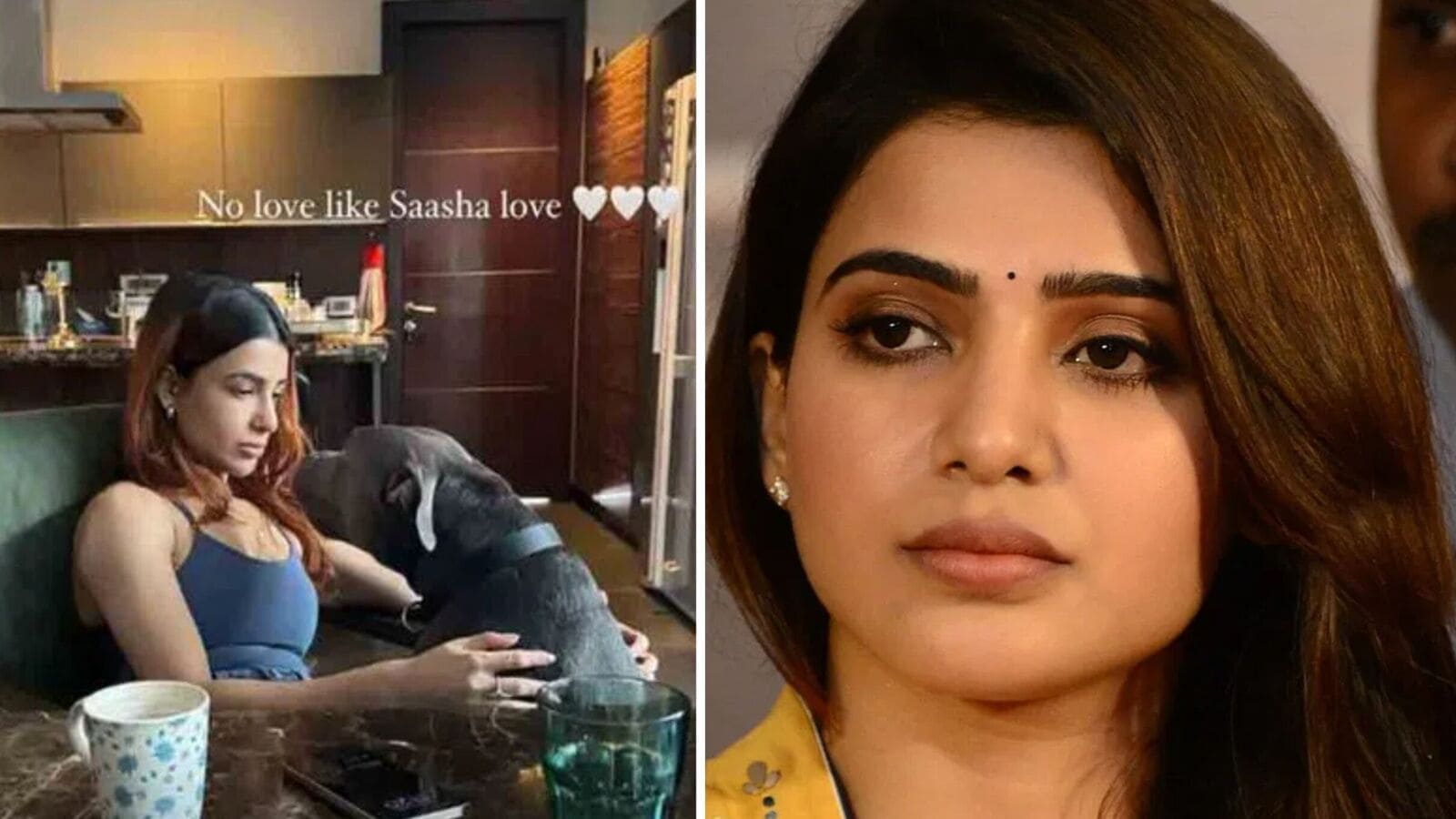 Samantha Cryptic Post: నాగచైతన్య, శోభిత ధూళిపాళ్ల పెళ్లి ఫొటోలు వైరల్.. ఎమోషనల్ పోస్ట్ పెట్టిన సమంత