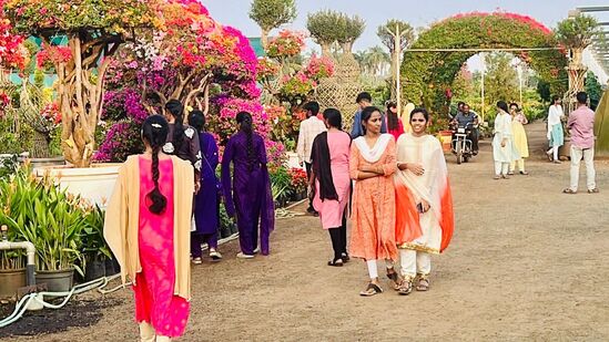 క్రిస్మస్, నూతన సంవత్సరం, సంక్రాంతి పండుగలకు మన ఇంట్లో బంధుమిత్రులు సందడి చేయడం అందరికీ తెలిసిందే. అయితే ఈ పండుగలలో అతిథులుగా మన వాకిట్లోకి ఈ సీజనల్ మొక్కలు కూడా వస్తాయి. శీతాకాలం మంచు బిందువులతో విచ్చుకొనే ఈ అందాల భామలు అందర్నీ విశేషంగా ఆకట్టుకుంటాయి. మనింట్లో ఎన్ని రకాల మొక్కలు ఉన్నా కేవలం శీతాకాలంలో మాత్రమే ఈ ప్రాంతంలో జీవించగలిగే సీజనల్ మొక్కల సందడే వేరు.
