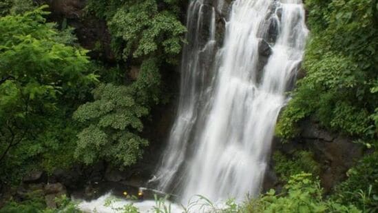 Iruppu Falls: ఫ్రెండ్స్‌తో వెకేషన్ వెళ్లేందుకు ఈ వాటర్ ఫాల్స్ బెస్ట్.. ఎక్కడ, ఎలా వెళ్లాలంటే!