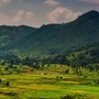 Araku Tourist Places: డిసెంబర్‌లో వెకేషన్ వెళ్లాలంటే అరకు పర్‌ఫెక్ట్.. తప్పక చూడాల్సిన ప్లేస్‍లు ఇవి.. మిస్ అవొద్దు!