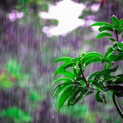 <p>రానున్న రెండు రోజుల పాటు ఉత్తరాంధ్రలో అక్కడక్కడ భారీ నుంచి అతి భారీ వర్షాలు కురిసే అవకాశం ఉందని వాతావరణ శాఖ తెలిపింది. విజయనగరం, విశాఖ, అనకాపల్లి జిల్లాల్లో భారీ నుంచి అతి భారీ వర్షాలు కురిసే అవకాశం ఉందని పేర్కొంది.&nbsp;</p>