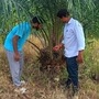 తెలంగాణలో ఆయిల్ పామ్ సాగును ప్రభుత్వం ప్రోత్సాహిస్తోంది. రైతులకు ఎక్కువ ఆదాయం వచ్చే మార్గాలను చూపుతోంది. పంట వేసింది మొదలు.. కోత కోసే వరకు ఈ మెళకువలు పాటిస్తే.. ఎక్కువ లాభాలు పొందొచ్చని అధికారులు చెబుతున్నారు. ముఖ్యంగా 10 విషయాలు గుర్తుంచుకోవాలని అంటున్నారు. <p>తెలంగాణలో ఆయిల్ పామ్ సాగును ప్రభుత్వం ప్రోత్సాహిస్తోంది. రైతులకు ఎక్కువ ఆదాయం వచ్చే మార్గాలను చూపుతోంది. పంట వేసింది మొదలు.. కోత కోసే వరకు ఈ మెళకువలు పాటిస్తే.. ఎక్కువ లాభాలు పొందొచ్చని అధికారులు చెబుతున్నారు. ముఖ్యంగా 10 విషయాలు గుర్తుంచుకోవాలని అంటున్నారు.</p>
