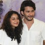 సితార, మహేష్ బాబు 