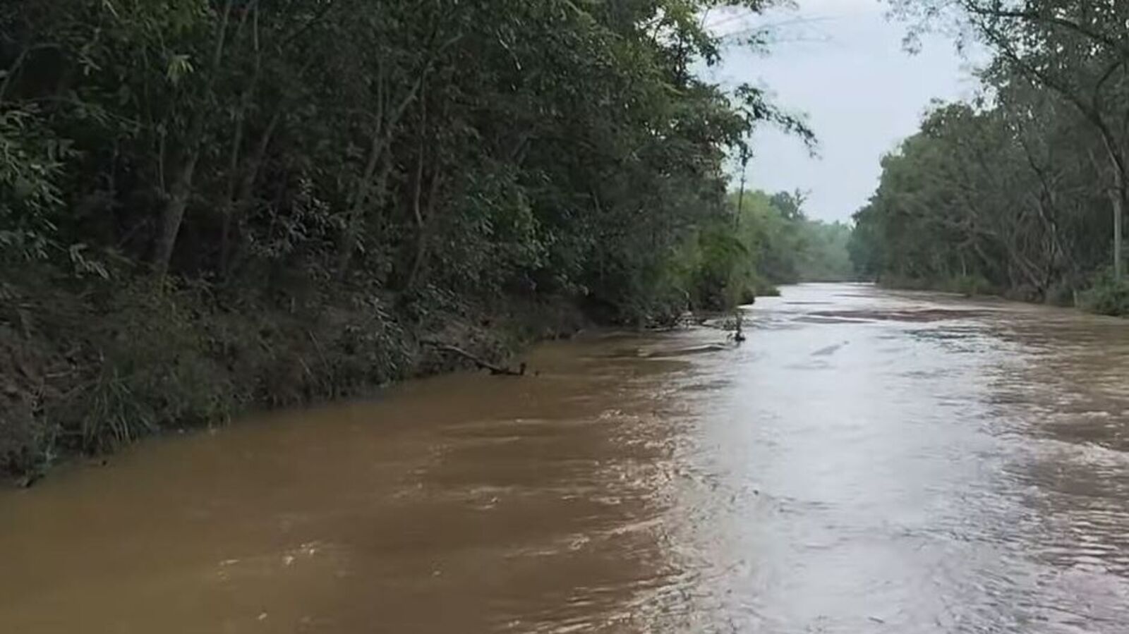 Telangana Tourism : పచ్చని అడవిలో బ్లాక్‌ బెర్రీ ఐలాండ్‌.. రారమ్మంటున్న ప్రకృతి అందాలు.. డోంట్ మిస్!