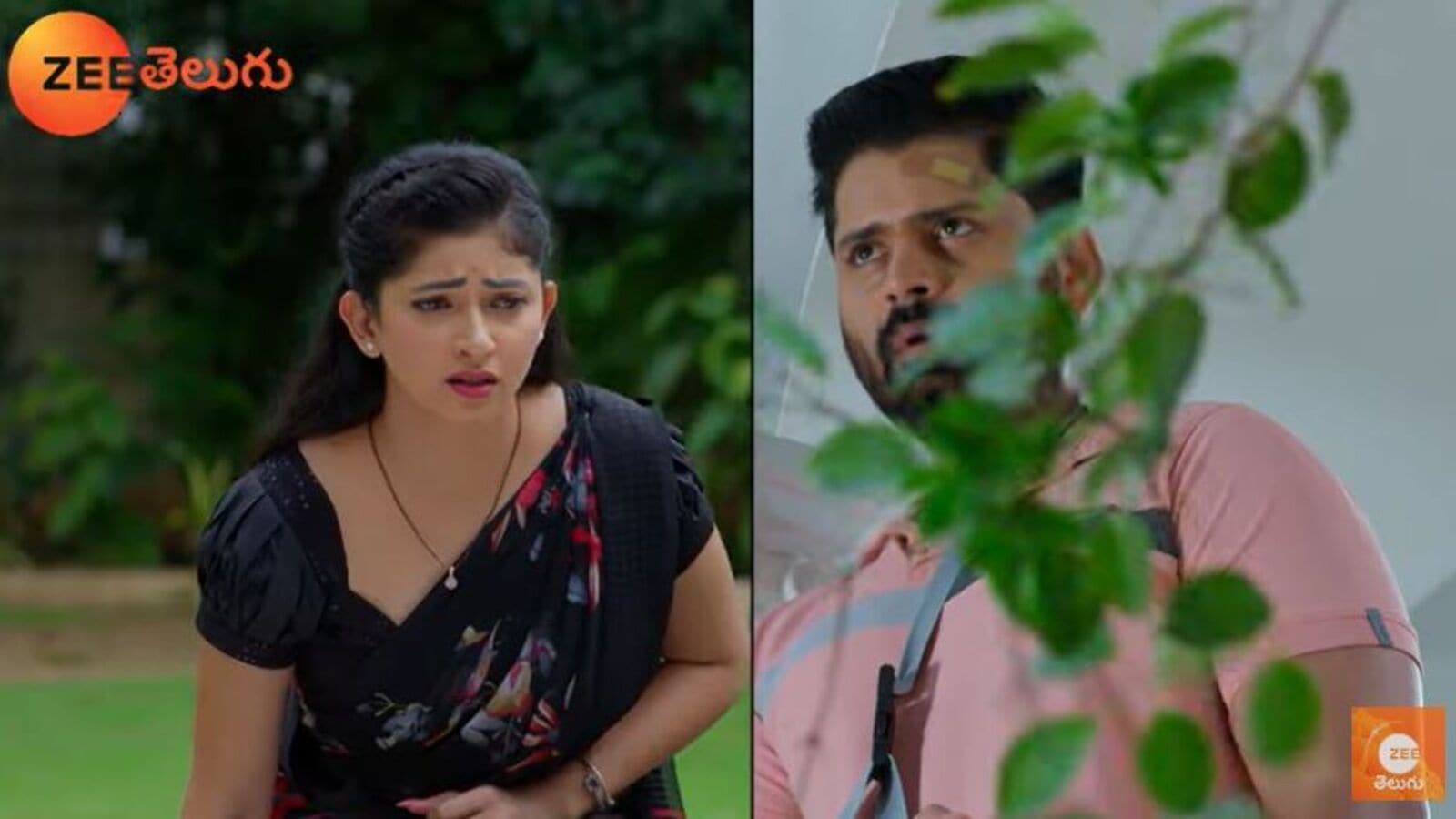 Telugu Cinema News Live December 24, 2024: NNS 24th December Episode: ​​​​ఆత్మను చూసిన స్వామీజీ.. హెచ్చరించిన గుప్త.. ఆరు అస్థికలు నదిలో కలుపుతానన్న అమర్​..