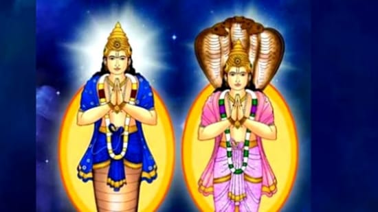 Rahu Transit: 18 ఏళ్ల తర్వాత శని ఇంట్లోకి రాహువు ప్రవేశం