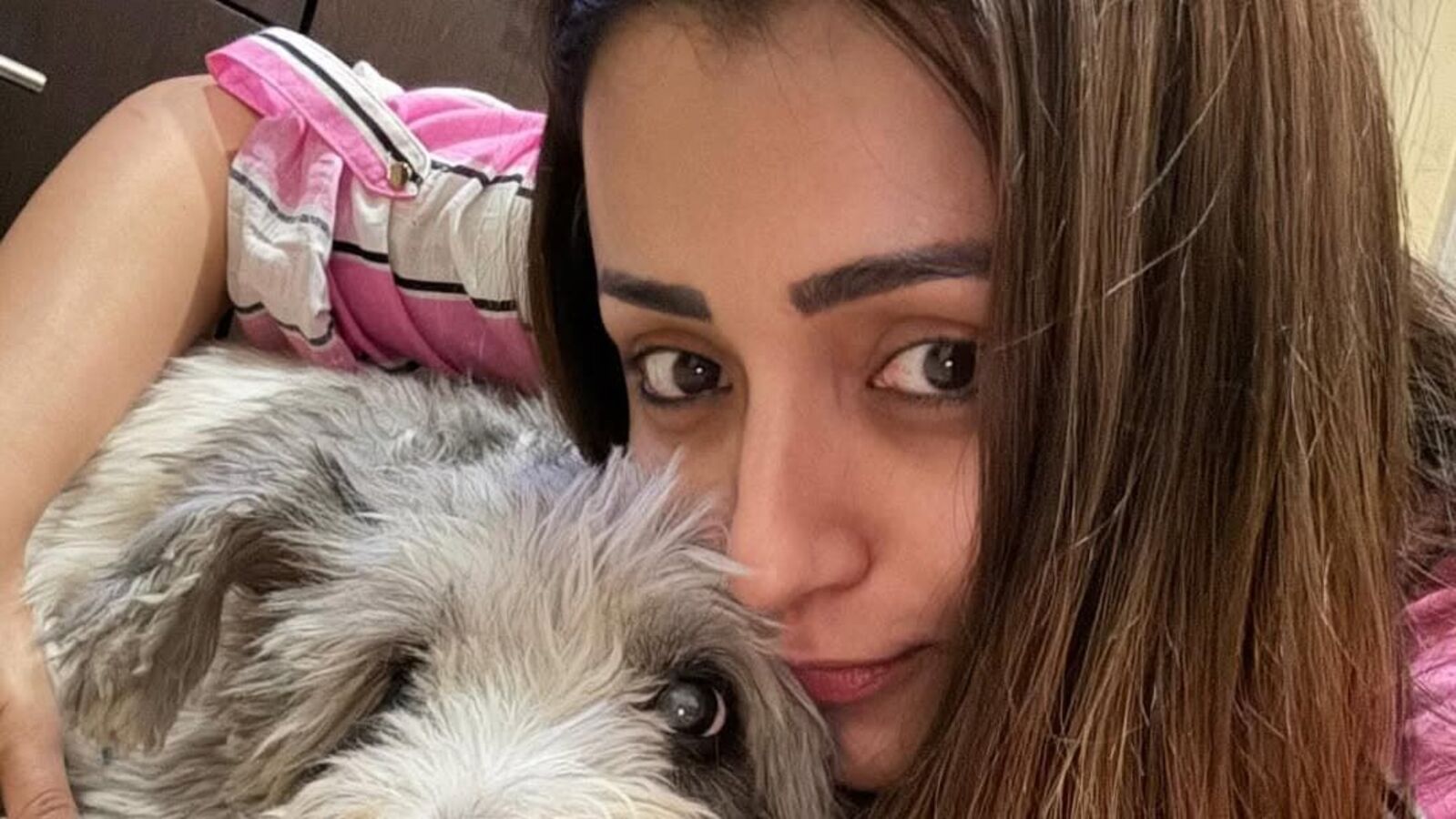 Trisha Instagram post: నా కొడుకు చనిపోయాడంటూ క్రిస్మస్ రోజు త్రిష విషాదమైన పోస్ట్.. సానుభూతి తెలుపుతున్న అభిమానులు