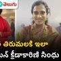 pv sindhu