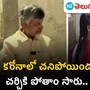 cm chandrababu cm chandrababu
