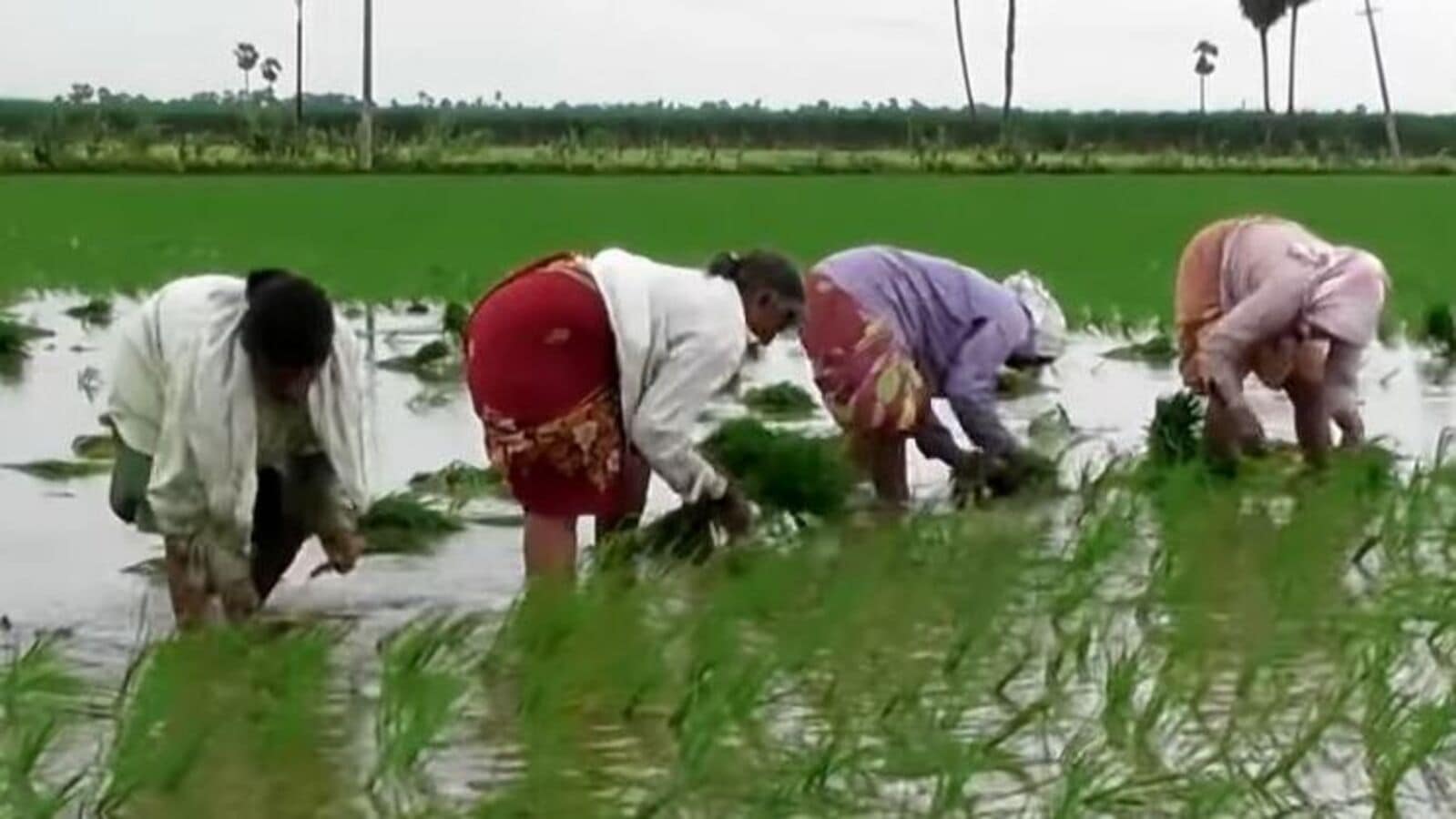 TG Govt Schemes : భూమిలేని వారికి శుభవార్త.. ఏటా రూ.12 వేల ఆర్థిక సాయం.. 5 ముఖ్యమైన అంశాలు