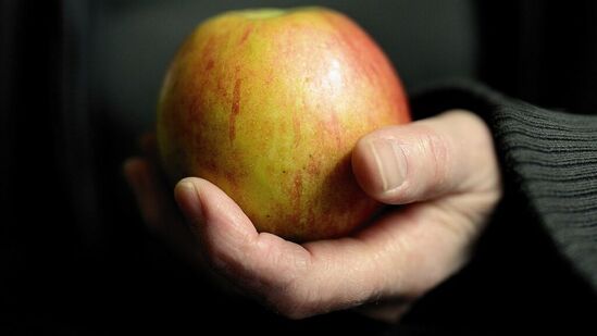 దీర్ఘకాలంగా ఉపవాసాలు చేస్తే స్త్రీలలో అండాశయం, పురుషుల్లో వృషణాలు పరిమాణం తగ్గిపోతుంది. &nbsp;సెక్సు కోరికలు తగ్గిపోతాయి. &nbsp;స్త్రీలలో రుతుస్రావం ఆగిపోతుంది.&nbsp;