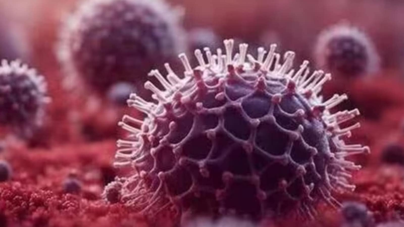 AP HMPV Alert: హెచ్ఎంపివిపై అనవసర ఆందోళన వద్దు, ఏపీలో కేసులు లేవన్న సీఎం చంద్రబాబు, వైద్య ఆరోగ్యశాఖ అప్రమత్తం