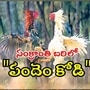 గోదావరి జిల్లాల్లో బరులు రెడీ-కోడి పందాలకు ఫేమస్ స్పాట్ లు ఇవే