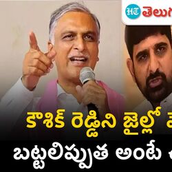 mla harish rao