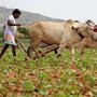 రైతు భరోసా స్కీమ్ రైతు భరోసా స్కీమ్