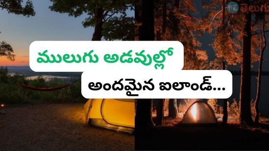 <p>ఫ్యామిలీ, ఫ్రెండ్స్ తో విహారయాత్రకు వెళ్లాలనుకునే వారికి తెలంగాణ టూరిజం శాఖ శుభవార్త చెప్పింది. ములుగు జిల్లా తాడ్వాయి మండలం మొండ్యాల తోగు సమీపంలో.. పచ్చని ప్రకృతి అందాల మధ్య.. బ్లాక్ బెర్రీ ఐలాండ్‌‌ను పర్యాటక శాఖ అభివృద్ధి చేసింది.&nbsp;</p>