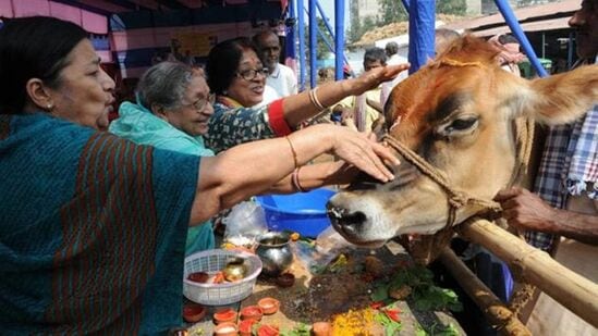 హిందూ విశ్వాసాల ప్రకారం గోవుల్లో సకల దేవుళ్లు కొలువై ఉంటారు. వీటిని పూజించడం వల్ల సకల దేవతల అనుగ్రహం లభిస్తుంది. గోవును క్రమం తప్పకుండా పూజించే వారికి జీవితంలో సుఖసంతోషాలు లోపించవని విశ్వాసం. గోవులకు ఆహారం పెట్టడం ద్వారా వ్యక్తి జీవితంలో విజయం, ఆనందం, ముక్తి కలుగుతాయని నమ్ముతారు.&nbsp;