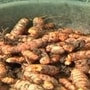 ఆర్మూర్‌ పసుపు