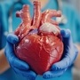 గుండెకు హాని చేసే ఆహారాలు