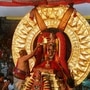 <p>ఒకే రోజున శ్రీమలయప్ప స్వామివారు సూర్యప్రభ, చిన్నశేష, గరుడ, హనుమ, కల్పవృక్ష, సర్వభూపాల, చంద్రప్రభ వాహనాలపై అనుగ్రహించడం విశేషం. ఈ కారణంగా ఈ ఉత్సవాన్ని అర్ధ బ్రహ్మోత్సవం, మినీ బ్రహ్మోత్సవం, ఒకరోజు బ్రహ్మోత్సవంగా పిలుస్తుంటారు.</p>