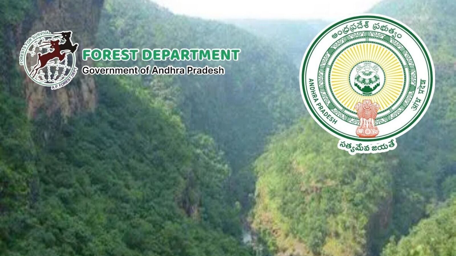 AP Forest Jobs : ఏపీ అటవీ శాఖ ఉద్యోగాలపై అప్డేట్, 6 నెలలో భర్తీ చేస్తామని చీఫ్ కన్జర్వేటర్ ప్రకటన-ap forest department 689 vacancies official says six months recruitment process ,career ...