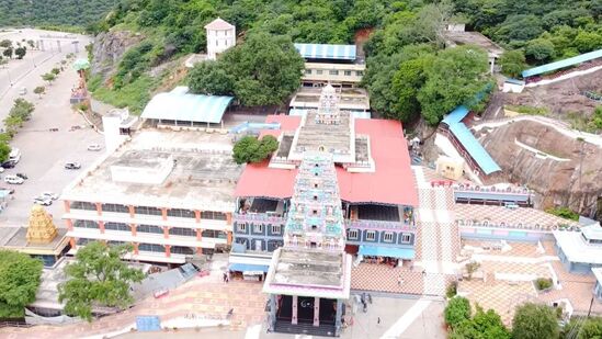 ఇక్కడ మహా శివరాత్రి ఉత్సవం చాలా వైభవంగా జరుగుతుంది. లక్షలాది మంది భక్తులు ఈ ఉత్సవానికి హాజరవుతారు. కోటప్పకొండ ఒక పవిత్రమైన పుణ్యక్షేత్రం. ఇక్కడకు వెళ్లడం వల్ల భక్తులకు మానసిక ప్రశాంతి లభిస్తుంది.