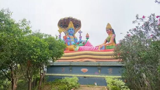 భక్తులకు తాగునీరు, ప్రసాదాల పంపిణీ స్వచ్ఛంద సేవాసంస్థల సహకారంతో చేయనున్నారు. శానిటేషన్‌పై ప్రత్యేకంగా శ్రద్ధ పెడుతున్నారు. భక్తులకు విక్రయించేందుకు 2 లక్షల లడ్డూలు, లక్ష అరిసెలు తయారు చేయిస్తున్నారు. తిరునాళ్ల రోజున అభిషేకాలు చేయించుకునేందుకు మండపంలో ఏర్పాట్లు చేస్తున్నారు.