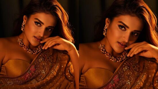 గ్లామరస్ హీరోయిన్ నిధి అగర్వాల్ చీరకట్టులో అదరగొట్టారు. తళుకుల చీర ధరించి అందంతో మైమరిపించారు. మరింత ఎలిగెంట్‍గా కనిపించారు.&nbsp;