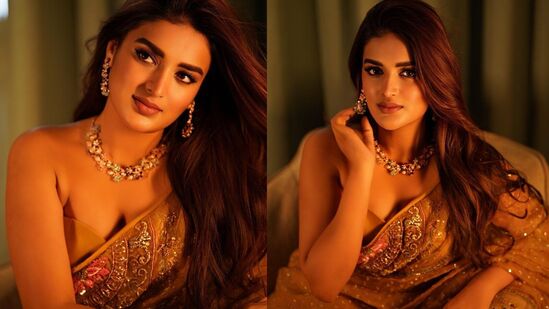 పవర్ స్టార్ పవన్ కల్యాణ్ ‘హరి హర వీరమల్లు’ చిత్రంలో నిధి అగర్వాల్ హీరోయిన్‍గా చేస్తున్నారు. పాన్ ఇండియా రెబల్ స్టార్ ప్రభాస్ హీరోగా నటిస్తున్న ‘ది రాజా సాబ్’ మూవీలోనూ ఈ భామ నటిస్తున్నారు.&nbsp;