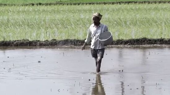 అనంతరం రైతుకు గ్రామంలో పొలం ఉంటే వాటి వివరాలు డిస్‌ప్లే అవుతాయి. ఆ సర్వే నెంబర్లను సెలక్ట్‌ చేసి సబ్మిట్‌ చేయగానే, మరోసారి ఓటీపీ వస్తుంది. ఆ ఓటీపీ ఎంటర్‌ చేసిన తర్వాత రైతుకు 11 సంఖ్యల ఫార్మర్‌ రిజిస్ట్రీ నెంబర్‌ జనరేట్‌ అవుతుంది. ఆ నెంబర్‌ రైతు మొబైల్‌కు వస్తుంది. దీంతో ప్రక్రియ పూర్తవుతుంది.&nbsp;