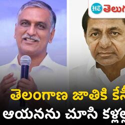 harish rao