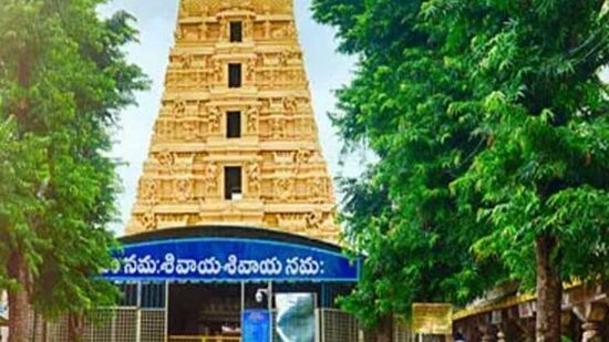 హైదరాబాద్ - శ్రీశైలం ట్రిప్ ధరలు : సింగిల్ ఆక్యుపెన్సీకి రూ. 37200 ఉంది. డబుల్ ఆక్యుపెన్సీకి రూ. &nbsp;19530, ట్రిపుల్ ఆక్యుపెన్సీకి &nbsp;రూ. 14880గా నిర్ణయించారు. ఐదు నుంచి 11 ఏళ్ల మధ్య ఉండే చిన్నారులకు వేర్వురు ధరలు ఉన్నాయి. గ్రూప్ సైజ్ ఒకటి నుంచి మూడుగా ఉంటుంది.&nbsp;