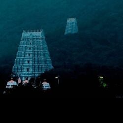 <p>మే నెల‌కు సంబంధించిన ప్రత్యేక ప్రవేశ దర్శన టికెట్ల కోటాను ఫిబ్రవరి 24న ఉదయం 10 గంటలకు టీటీడీ ఆన్‌లైన్‌లో విడుదల చేయ‌నుంది.</p>