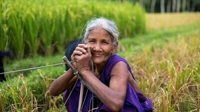 <p>దేశవ్యాప్తంగా 2.41 కోట్ల మంది మహిళా రైతులతో సహా 9.8 కోట్ల మంది రైతులకు 19వ విడత పీఎం కిసాన్ నిధులు విడుదల చేశారు. మధ్యవర్తుల ప్రమేయం లేకుండా నేరుగా డీబీటీ విధానంలో రూ.22,000 కోట్లు రైతులు ఆర్థిక సహాయంగా అందుకుంటారు. &nbsp;</p> 