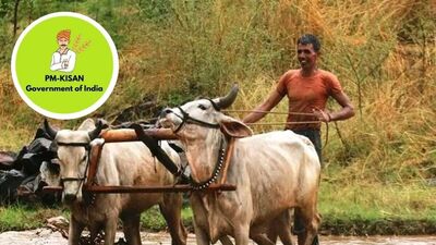 <p>1. పీఎమ్ కిసాన్ అధికారిక వెబ్‌సైట్ https://pmkisan.gov.in/ ను సందర్శించాలి. &nbsp;<br>2. కుడి వైపున క‌నిపిస్తున్న ఫార్మర్ కార్నర్ ఆప్షన్ లో &nbsp;బెనిఫిషియ‌రీ స్టేట‌స్ ఆప్షన్ ఉంటుంది<br>3. బెనిఫిషియరీ స్టేటస్ పై క్లిక్ చేసి ఆధార్ లేదా ఖాతా నెంబ‌రును ఎంట‌ర్ చేసి 'గెట్ డేటా'పై క్లిక్ చేయాలి.<br>4.స్క్రీన్‌పై స్టేట‌స్ క‌నిపిస్తుంది. పీఎం కిసాన్‌కు రిజిస్టర్ చేసుకుని, ఈకేవైసీ పూర్తి చేస్తే ఖాతాలోకి డ‌బ్బు జమ అవుతాయి.&nbsp;</p> 