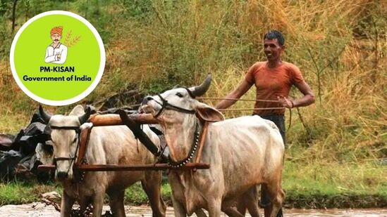1. పీఎమ్ కిసాన్ అధికారిక వెబ్‌సైట్ https://pmkisan.gov.in/ ను సందర్శించాలి. &nbsp;2. కుడి వైపున క‌నిపిస్తున్న ఫార్మర్ కార్నర్ ఆప్షన్ లో &nbsp;బెనిఫిషియ‌రీ స్టేట‌స్ ఆప్షన్ ఉంటుంది3. బెనిఫిషియరీ స్టేటస్ పై క్లిక్ చేసి ఆధార్ లేదా ఖాతా నెంబ‌రును ఎంట‌ర్ చేసి 'గెట్ డేటా'పై క్లిక్ చేయాలి.4.స్క్రీన్‌పై స్టేట‌స్ క‌నిపిస్తుంది. పీఎం కిసాన్‌కు రిజిస్టర్ చేసుకుని, ఈకేవైసీ పూర్తి చేస్తే ఖాతాలోకి డ‌బ్బు జమ అవుతాయి.&nbsp;