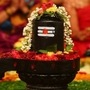 మహాశివరాత్రి పర్వదినం ప్రతి శివభక్తుడికీ ముఖ్యమైనది. ఈ రోజున శివలింగానికి అభిషేకం చేస్తారు. భక్తులు మహాశివరాత్రి ఉపవాసాన్ని గౌరవంగా, భక్తితో ఆచరిస్తారు. ఈ రోజు భగవంతుని ఉపాసనతో ఉపవాసం చేస్తే, భగవంతుని ఆశీర్వాదం లభిస్తుంది. <p>మహాశివరాత్రి పర్వదినం ప్రతి శివభక్తుడికీ ముఖ్యమైనది. ఈ రోజున శివలింగానికి అభిషేకం చేస్తారు. భక్తులు మహాశివరాత్రి ఉపవాసాన్ని గౌరవంగా, భక్తితో ఆచరిస్తారు. ఈ రోజు భగవంతుని ఉపాసనతో ఉపవాసం చేస్తే, భగవంతుని ఆశీర్వాదం లభిస్తుంది. </p>