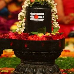 వ్రతం యొక్క ప్రాముఖ్యత: శివరాత్రి రోజున ఉపవాసం చేయడం వల్ల కోరిన కోరికలు త్వరగా నెరవేరుతాయి. నిజంగా ఈ ఉపవాసం పాటించే అమ్మాయికి తప్పకుండా కోరుకున్న వరం లభిస్తుందని చెబుతారు.