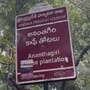 అరకు టు యూరప్