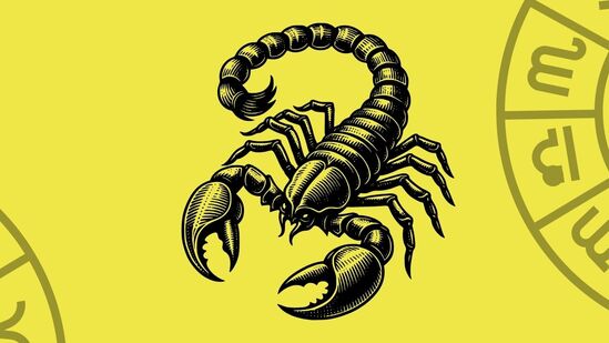 వృశ్చిక రాశి: మీ రాశిలో పదవ భావంలో కేతువు భగవానుడు ప్రయాణించబోతున్నాడు. దీనివల్ల మీ కష్టపడి చేసే పనికి మంచి ఫలితాలు లభిస్తాయి. 2025 అభివృద్ధి సంవత్సరంగా ఉంటుంది. ఉద్యోగంలో ఉన్నత అధికారులు మీకు మంచి సహాయం చేస్తారు. వృశ్చిక రాశి: మీ రాశిలో పదవ భావంలో కేతువు భగవానుడు ప్రయాణించబోతున్నాడు. దీనివల్ల మీ కష్టపడి చేసే పనికి మంచి ఫలితాలు లభిస్తాయి. 2025 అభివృద్ధి సంవత్సరంగా ఉంటుంది. ఉద్యోగంలో ఉన్నత అధికారులు మీకు మంచి సహాయం చేస్తారు.