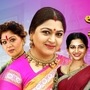 తెలుగు సీరియల్