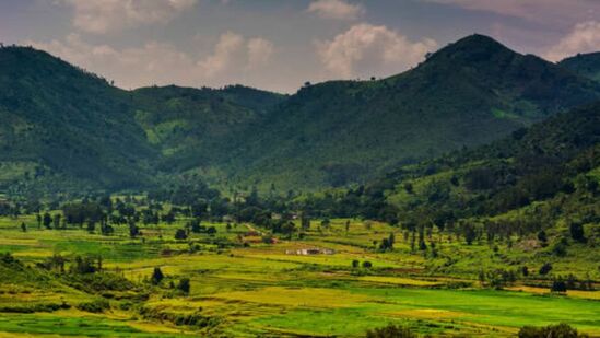 వైజాగ్, అరకు అందాలను చూసేందుకు ఐఆర్ సీటీసీ టూరిజం తాజాగ్ కొత్త ప్యాకేజీని తీసుకువచ్చింది. “JEWEL OF EAST COAST” పేరుతో ప్యాకేజీని ప్రకటించింది. హైదరాబాద్ నుంచి ఆపరేట్ చేస్తున్నట్లు తెలిపింది. వైజాగ్, అరకు అందాలను చూసేందుకు ఐఆర్ సీటీసీ టూరిజం తాజాగ్ కొత్త ప్యాకేజీని తీసుకువచ్చింది. “JEWEL OF EAST COAST” పేరుతో ప్యాకేజీని ప్రకటించింది. హైదరాబాద్ నుంచి ఆపరేట్ చేస్తున్నట్లు తెలిపింది.