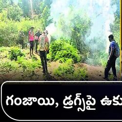cm chandrababu